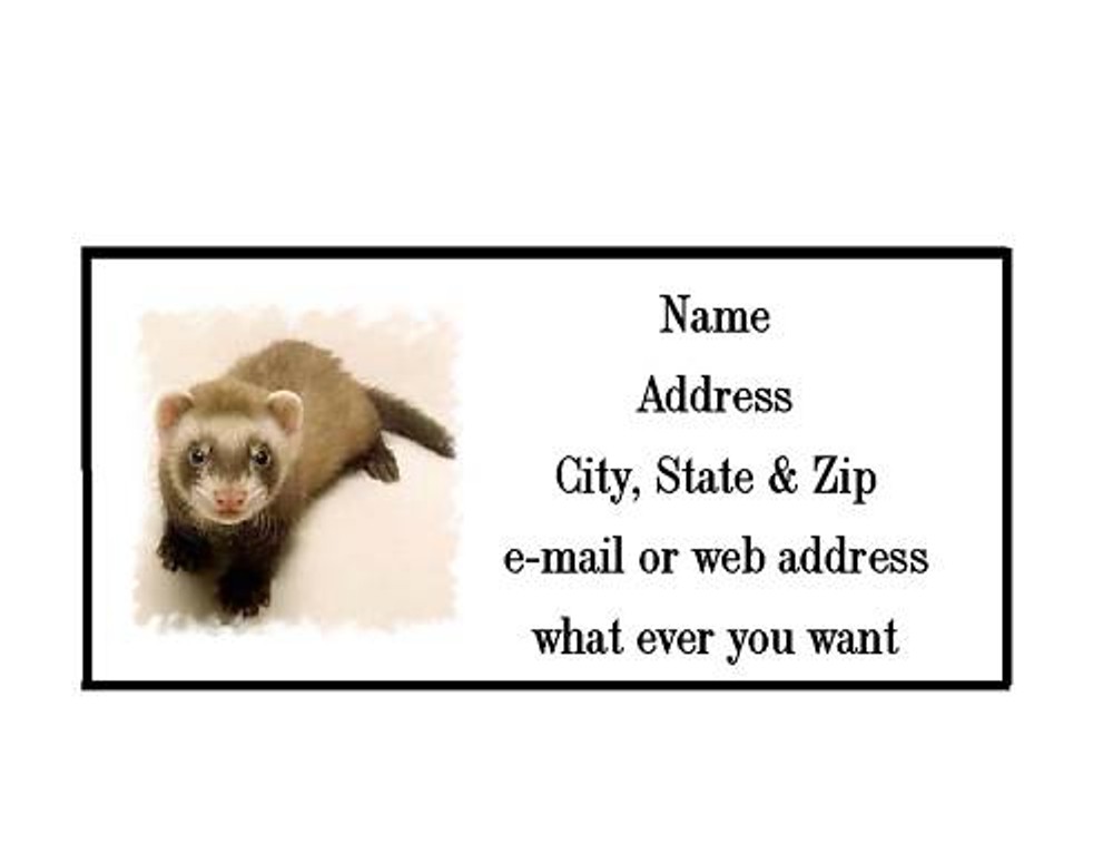 FERRET ADDRESS LABELS COOL!!! #1