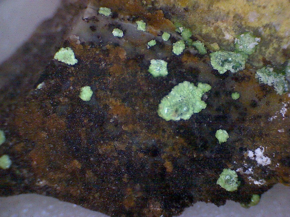 Nice Cuproadamite Specimen
