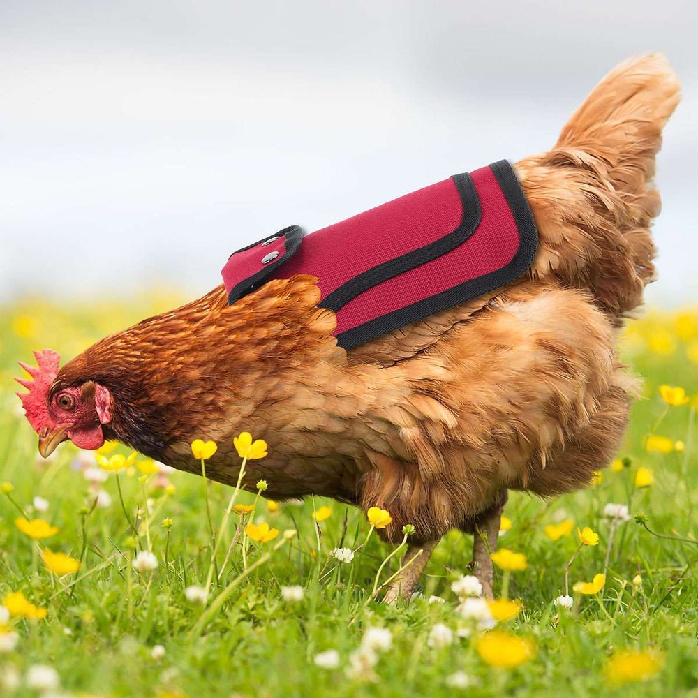 New Pet Protection Back Wing Protector Hen Chicken Saddle Apron Jacket Coat