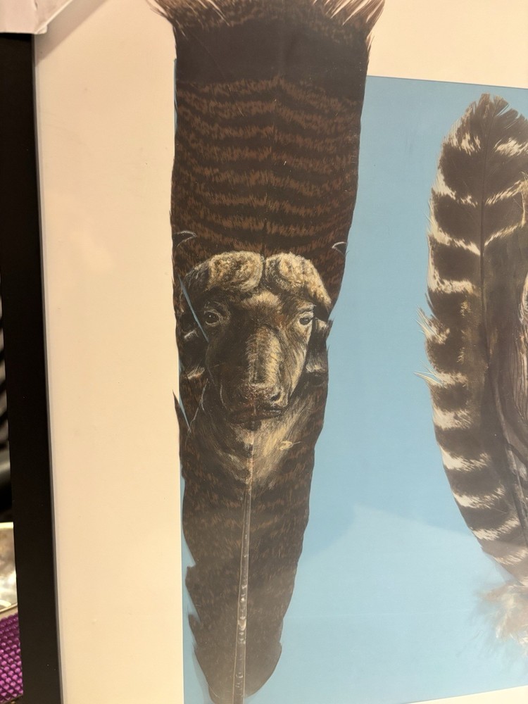 Framed Hand Painted Feathers (African Animals) 2013