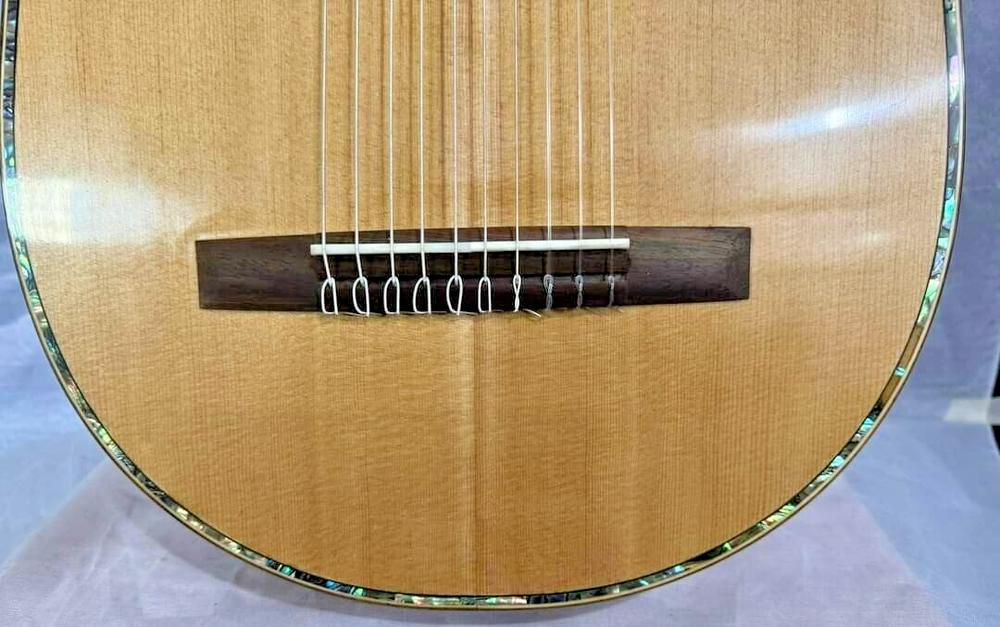 Blueberry Handmade Ten String Classical Nylon String Guitar Built to Order