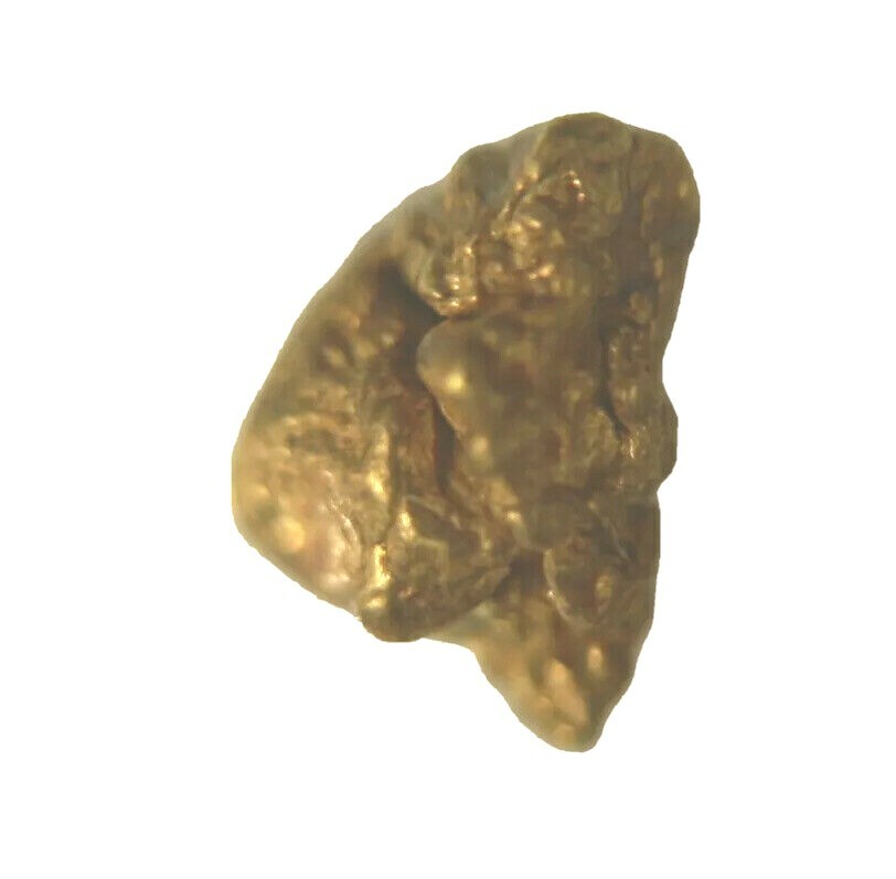 GOLD NUGGET .26 Grams. AGW