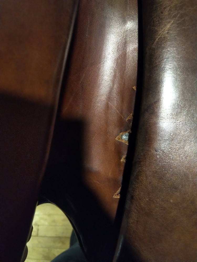 Crosby All-Purpose Saddle