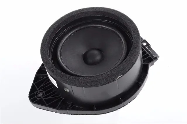 Genuine GM Rear Dr Speaker 85613055