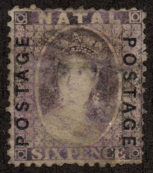 Natal Scott 40 used 2021 cv $45