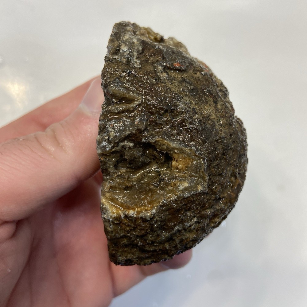 Orange Dendritic Agate Rough Lapidary Half 10.74 Oz