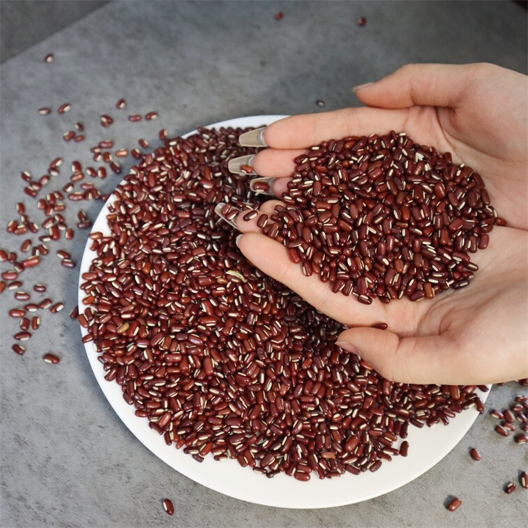 Premium Selection Adzuki Beans 900g (2lb) Pack 特级精选 赤小豆900g 2磅装 利尿消肿