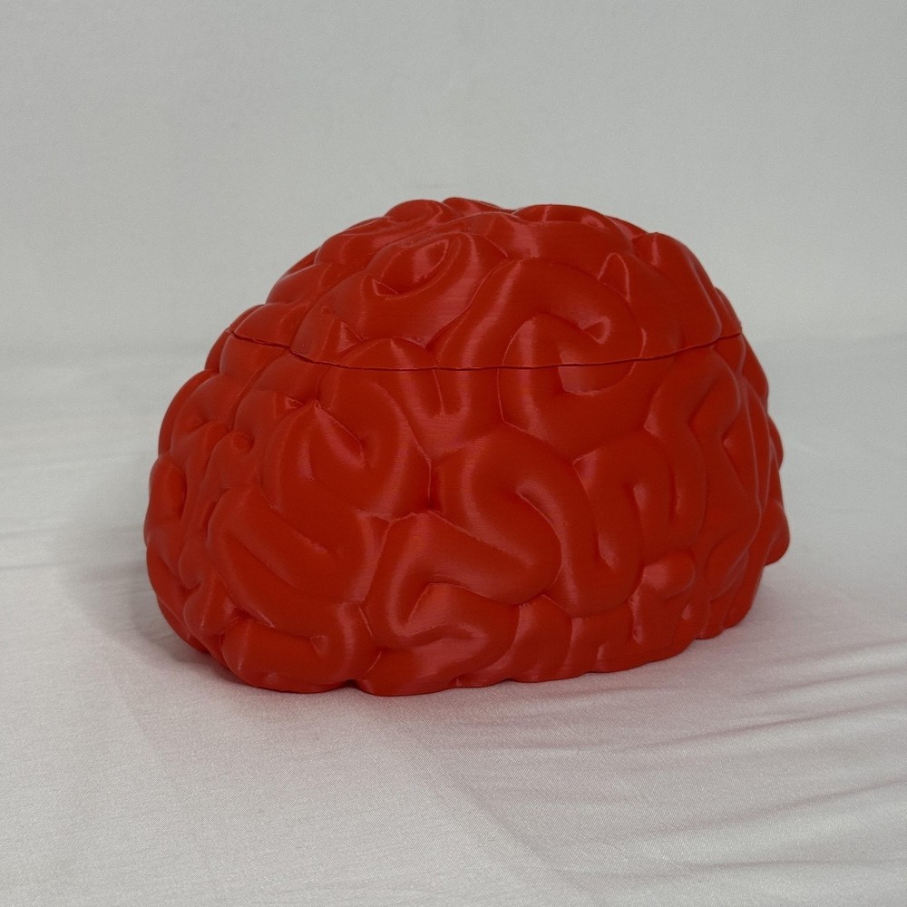 Brain Shaped Storage Box Red Plastic Container Jar Halloween Decor Gift