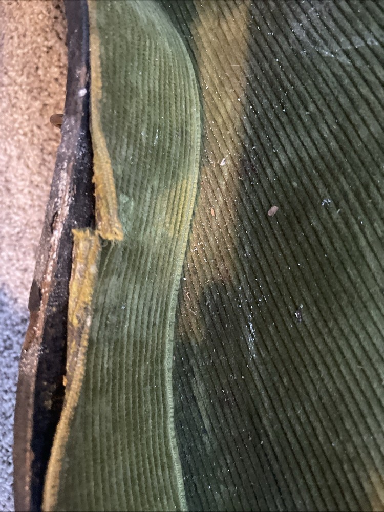 Wurlitzer 4 String Tenor Banjo. Hubcap Back