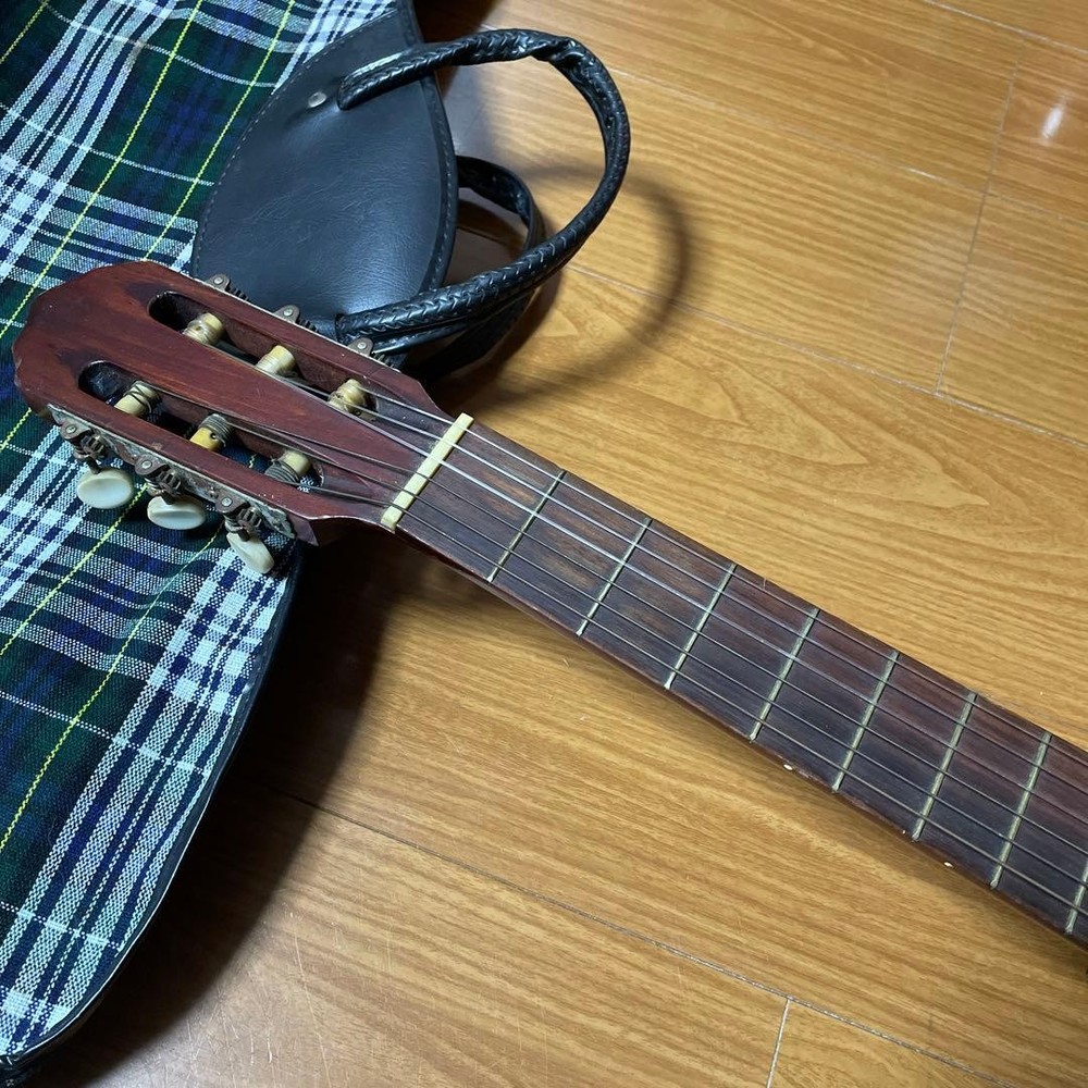 Hashimoto Gut Guitar No232