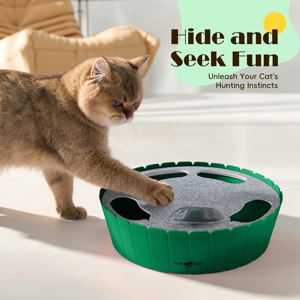 Interactive Cat Toy with Running Mouse, Electronic Motion Cat Toy Automatic Teas