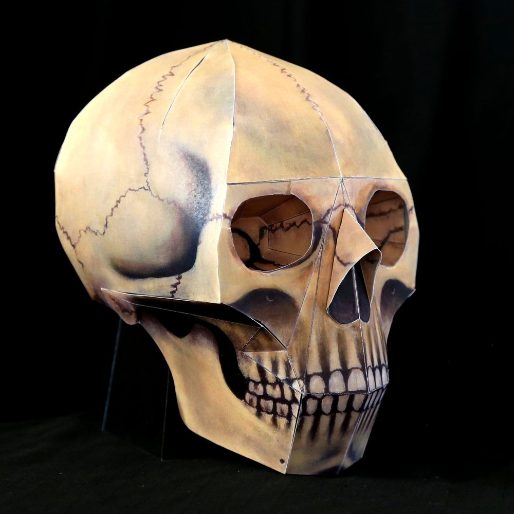 Human Skull paper model