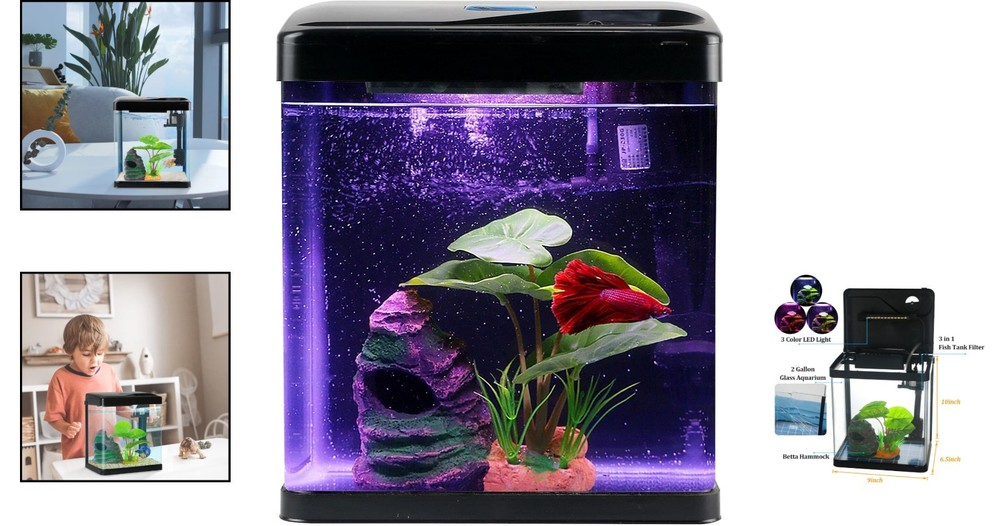 Stylish 2 Gallon Self-Cleaning Glass Aquarium Kit with Whisper Filter & Decor