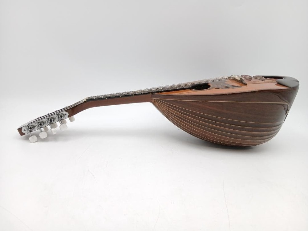 Suzuki violin mandolin with hard case