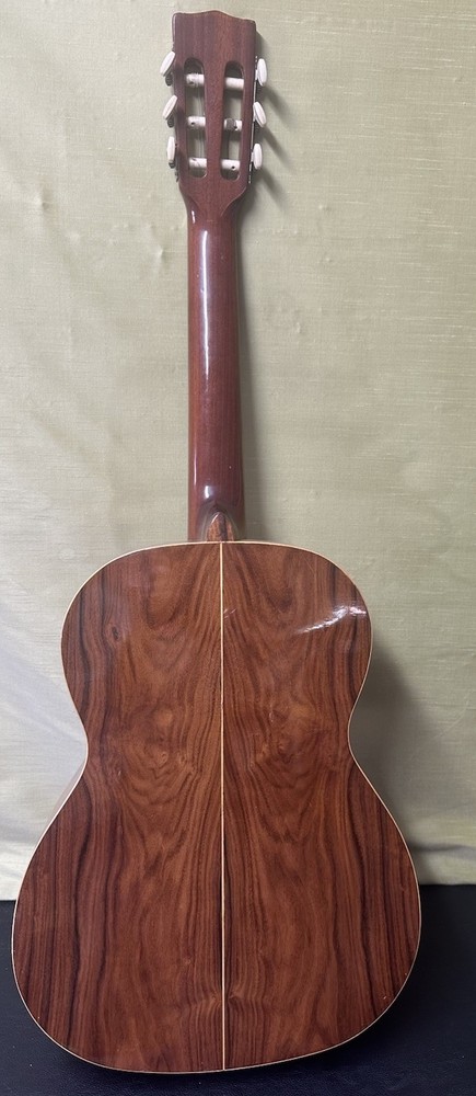 Giannini AWN60 Classical Guitar With Hard Case