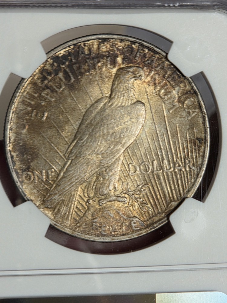 1924 $1 Peace Dollar NGC MS63 Toned