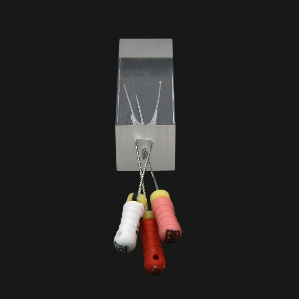 10Pcs Dental Endo Root Canal Teeth Model Practice Block RCT Pulp Cavity Study