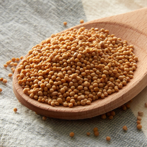 Bulk Yellow Mustard Seed - 16 oz.