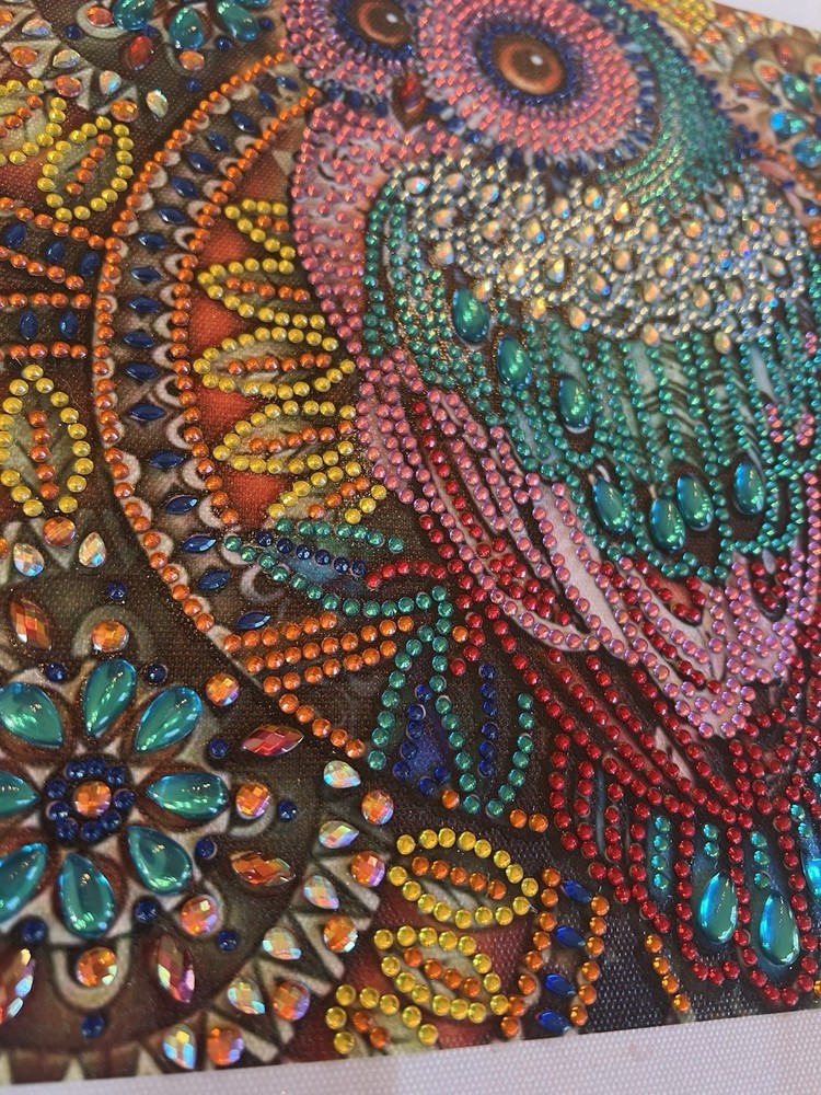 Owl Diamond Art Completed