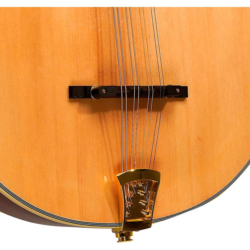 OM-800+ Octave Mandolin