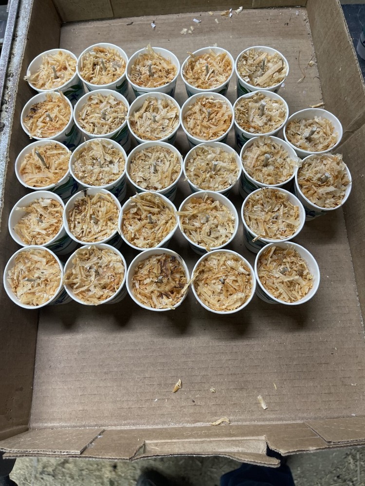 fireplace fire starter camp fire