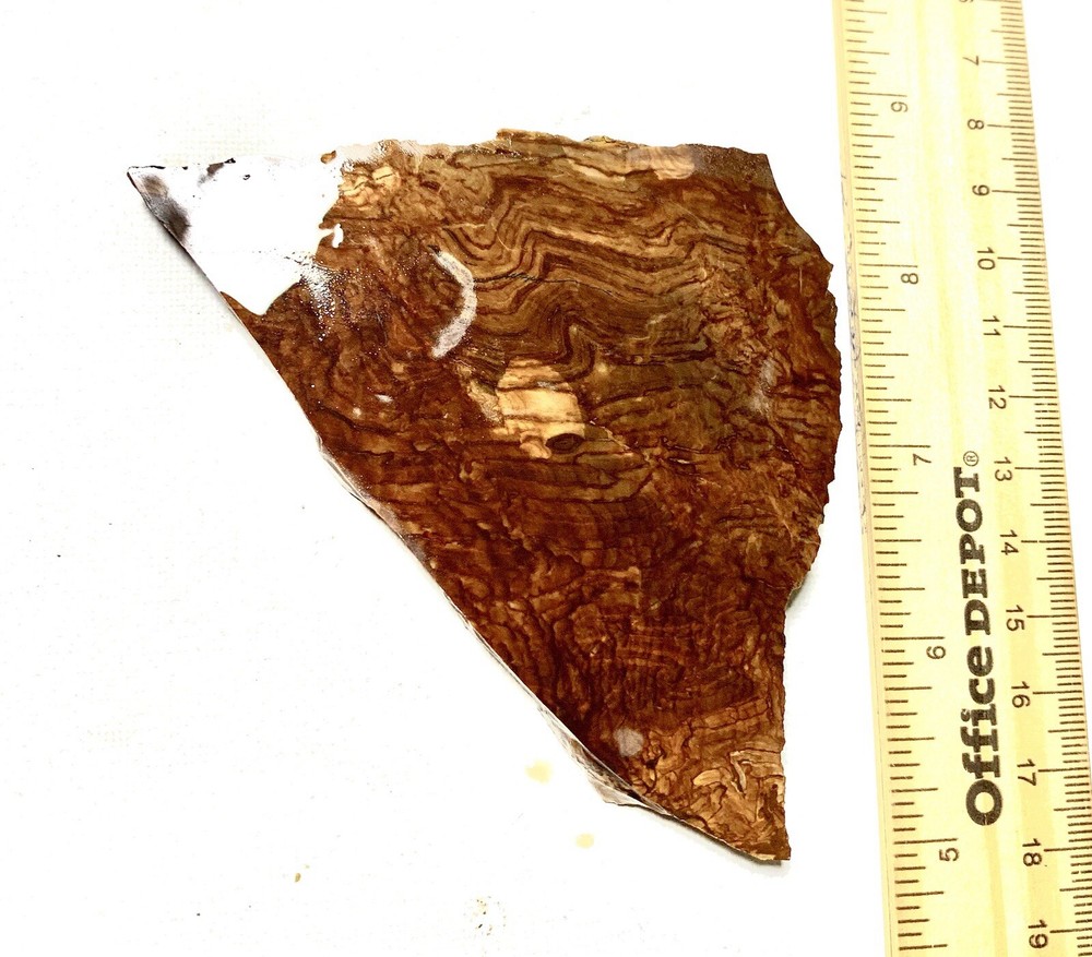 biggs jasper rough slab