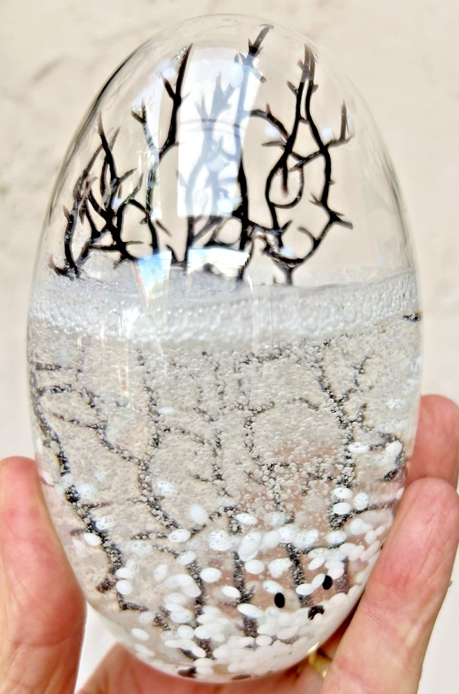 5" GLASS EGG-SHAPED CLOSED SYSTEM ECOSYSTEM shrimp ECOSPHERE self-sustaining