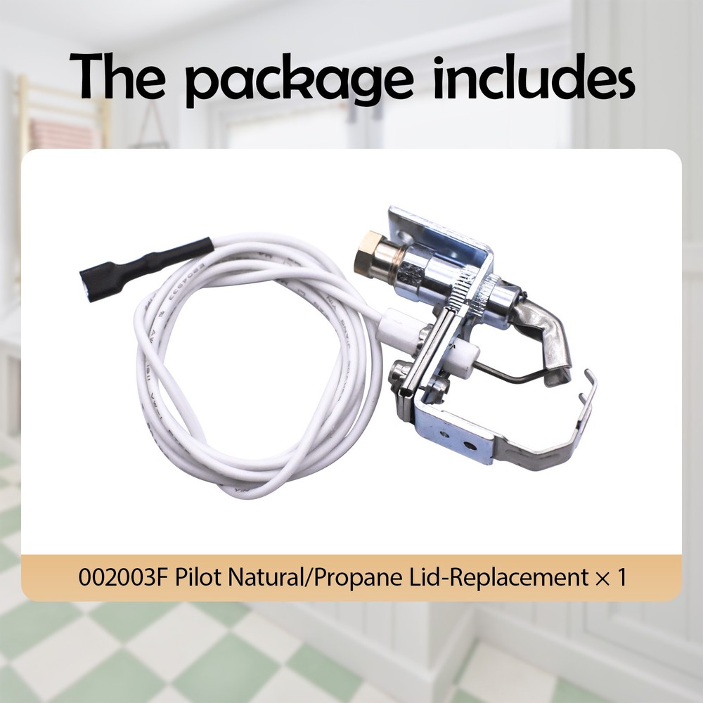 For Raypak 002003F Pilot Kit Natural Or Propane Pool & Spa Heaters