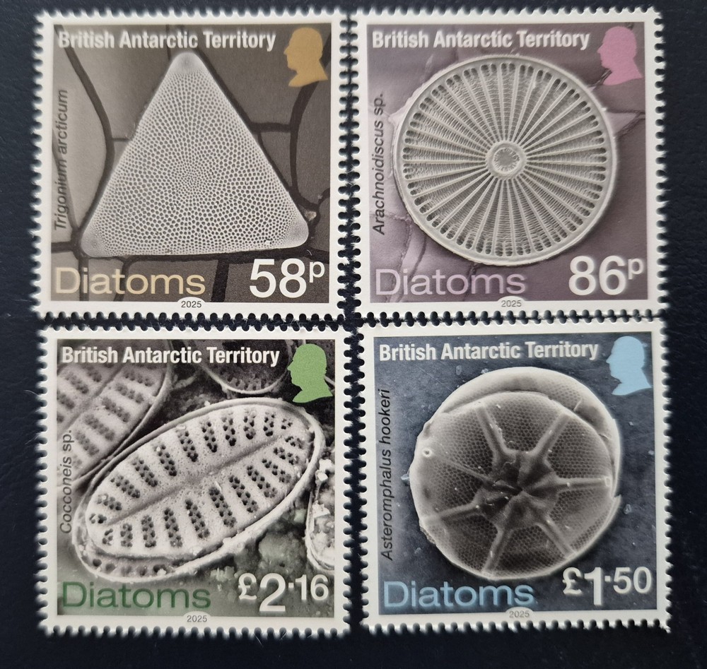 British Antar. Territory 2025 /  Diatoms   / 4v set