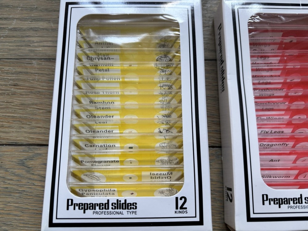 Specimen Prepared Slides For Kids Microscope Science Extra Slides
