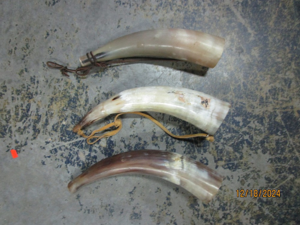 (3) 12" Black Powder Horns