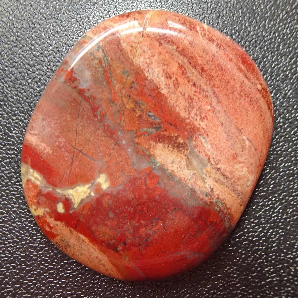 Petrified Wood Worry Stone sc807d