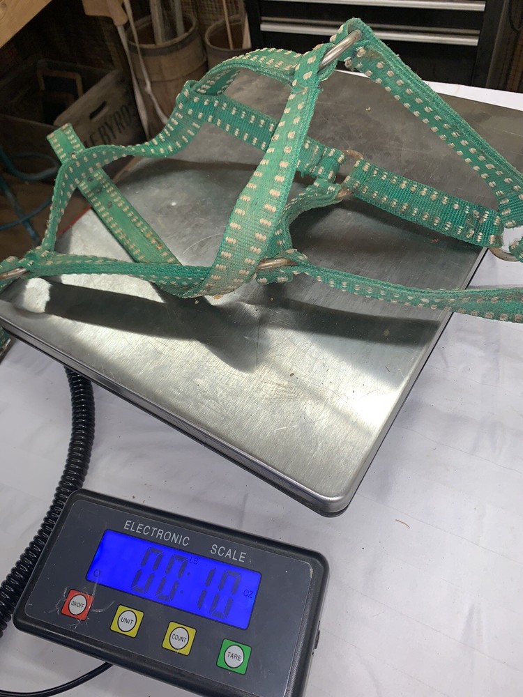 Green Nylon Horse Halter ~ Used