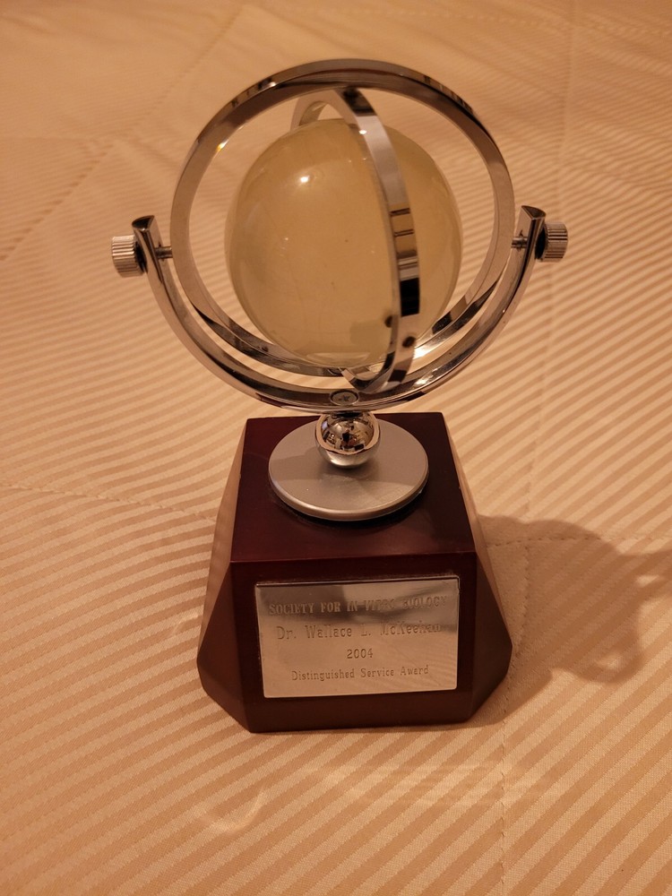 CRYSTAL GLOBE WITH ANALOG CLOCK IN WOOD BASE
