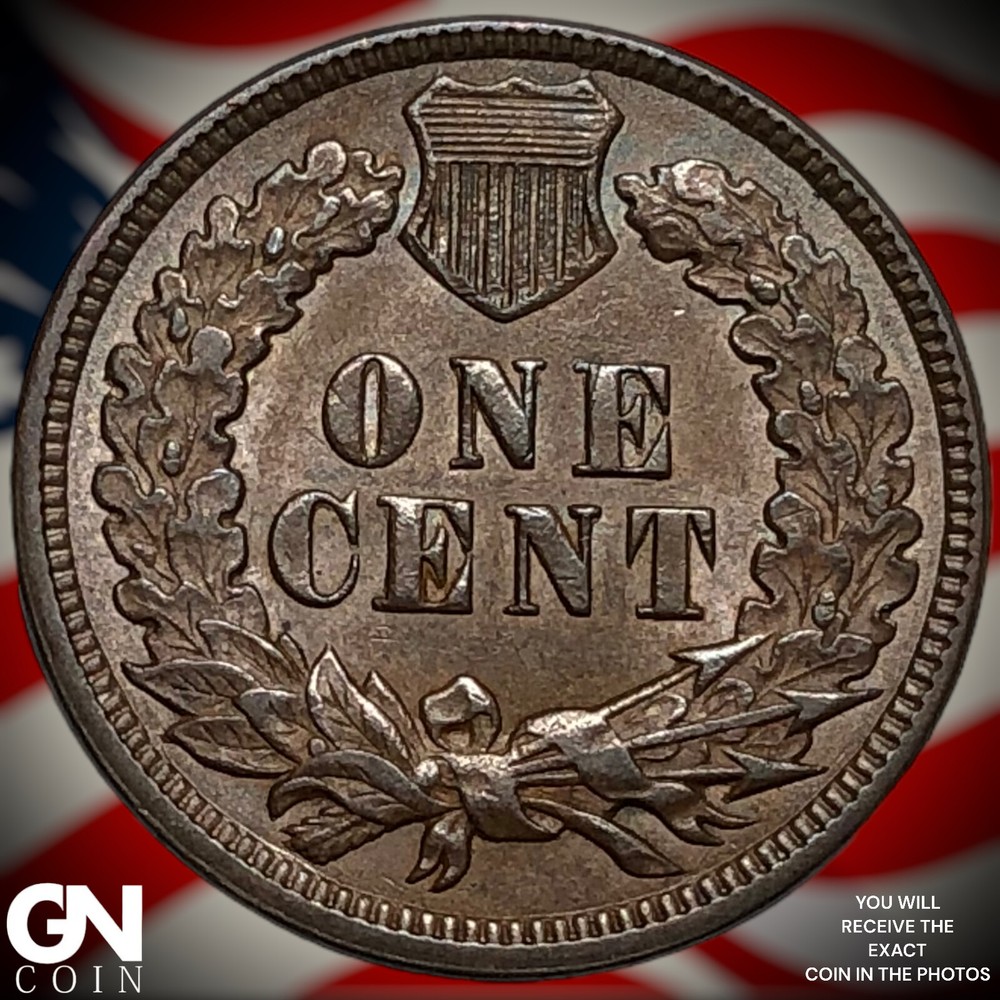 1891 Indian Head Cent Penny X7891