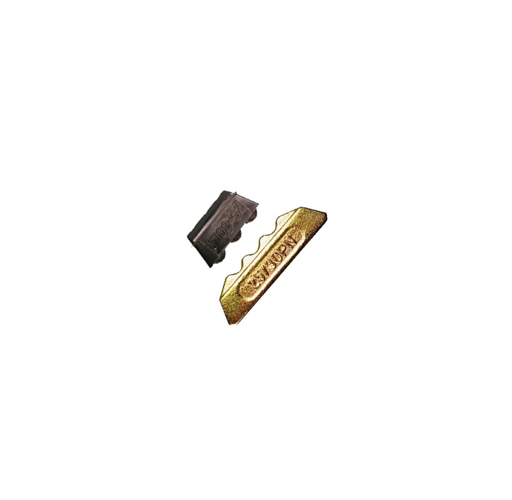 1 - 25/30PN Pin & Lock