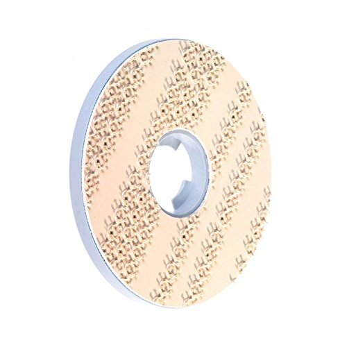 Motor Scrubber Backing Pad, 1 Each