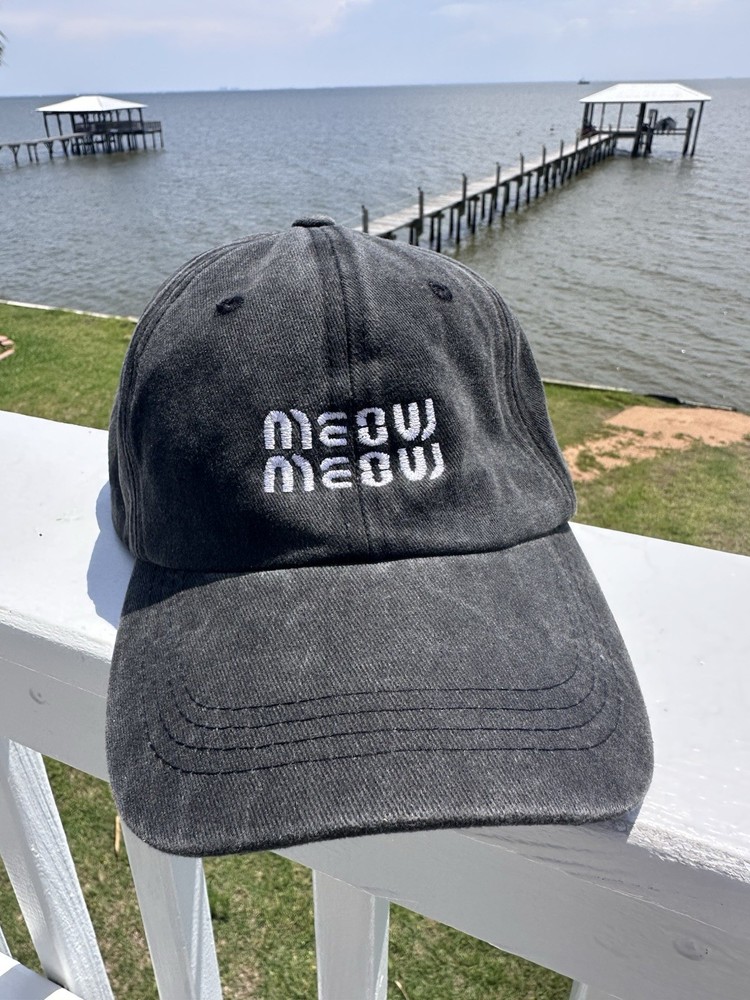 Meow Meow Hat