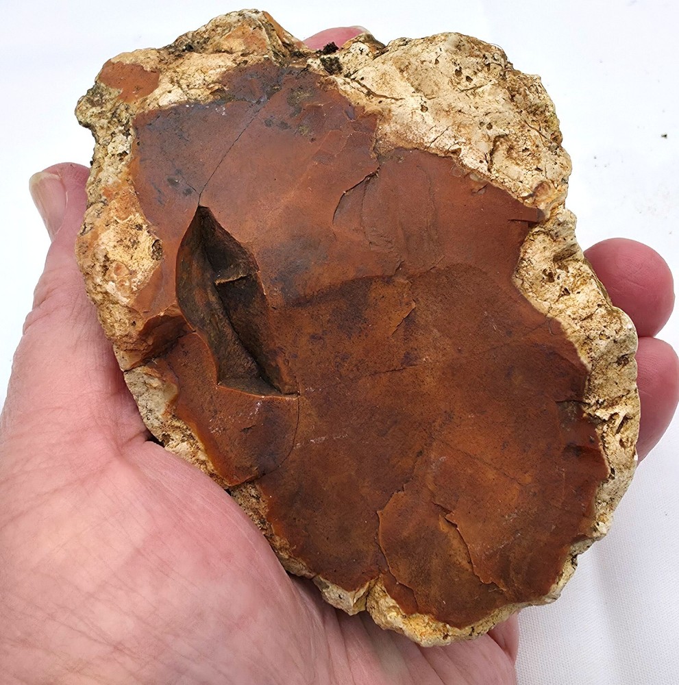 Neat Looking Red Jasper Specimen Rough 420 grams ~ Video