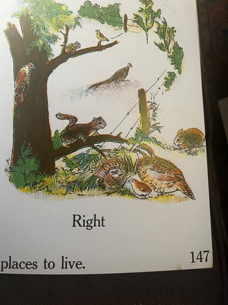 VINTAGE A.J. Nystrom Elementary science chart Conservation chart - 24” x 18.5”