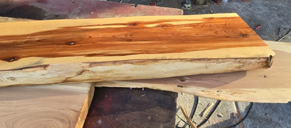 Eastern Red Cedar Live Edge Slab – 61" × 8.5" Bench / Console Top 2.5" Thick