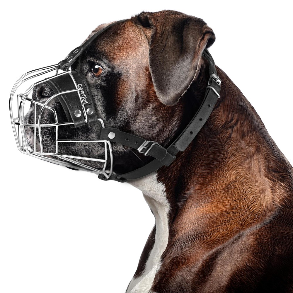 CleverTail Metal Muzzle for Boxer Dog Breed Large, Silver Wire & Black Straps