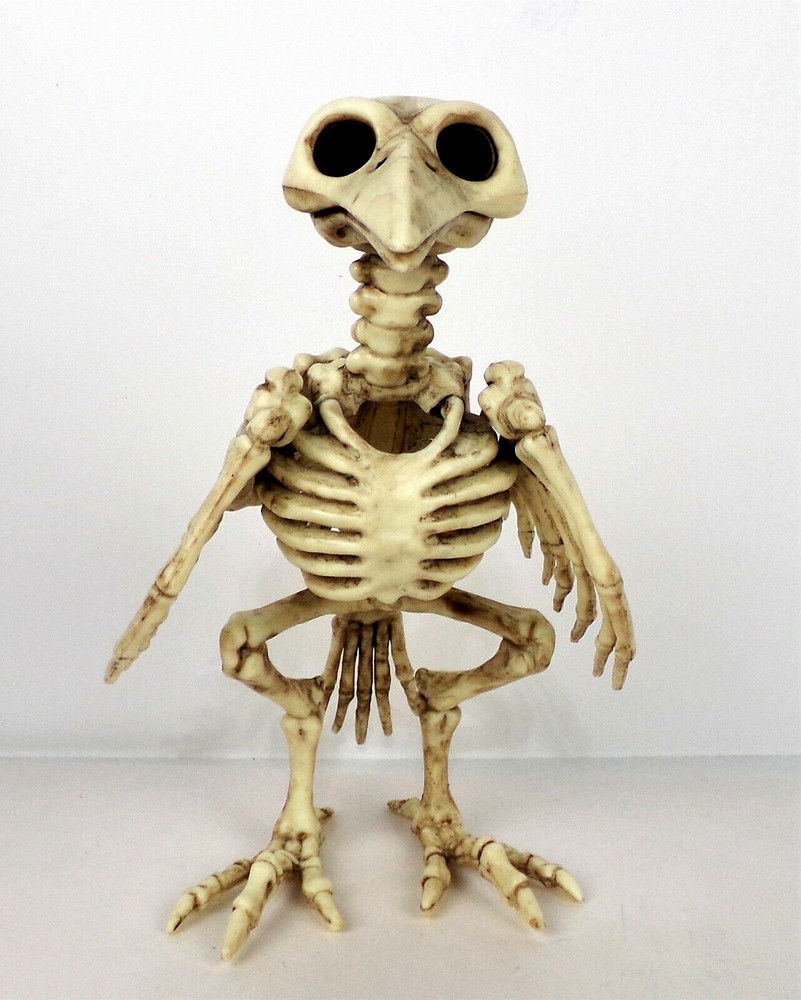 Halloween Skeleton Bird in Cage