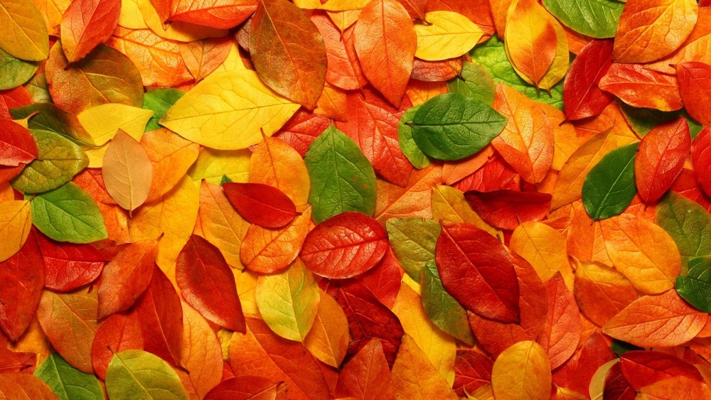 Landscape fall nature fallen leaves Custom Gaming Mat Desk
