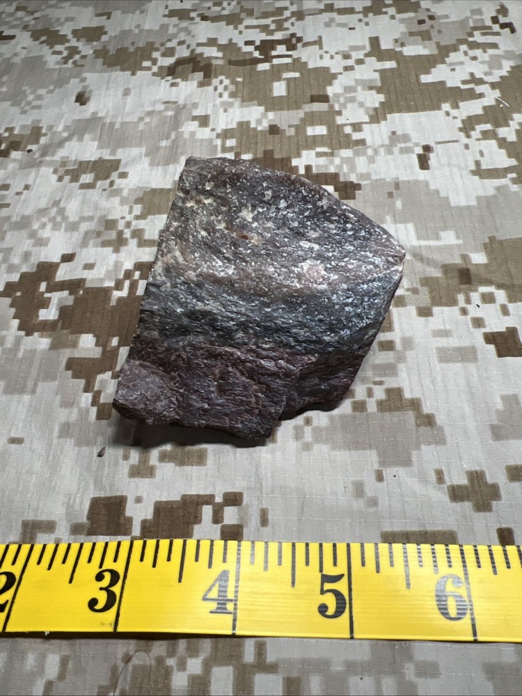 Fossil T-Rex Bone Fragment