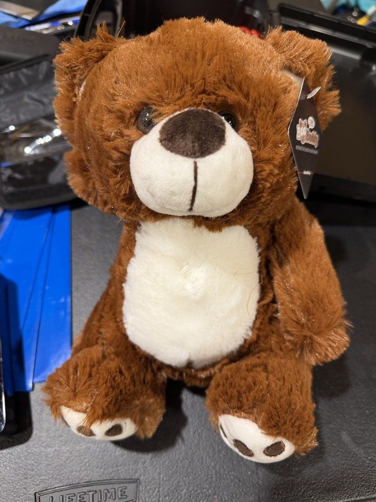 Boo Buddy Talking Ghost Hunting Bear