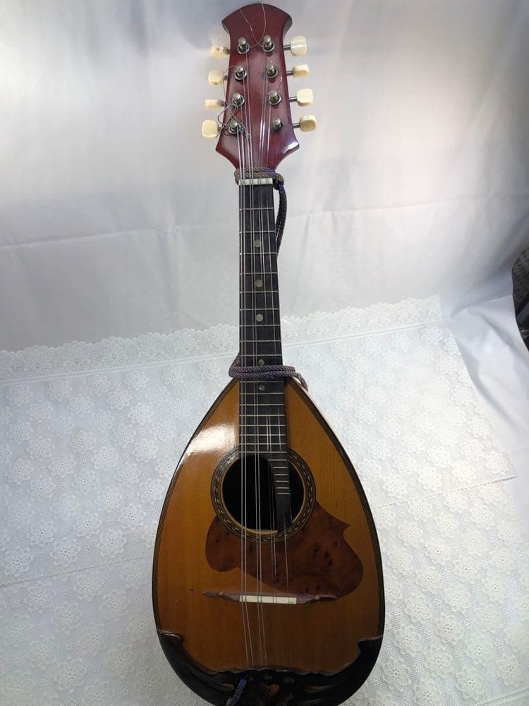 Mandolin SUZUKI226 8 string with case