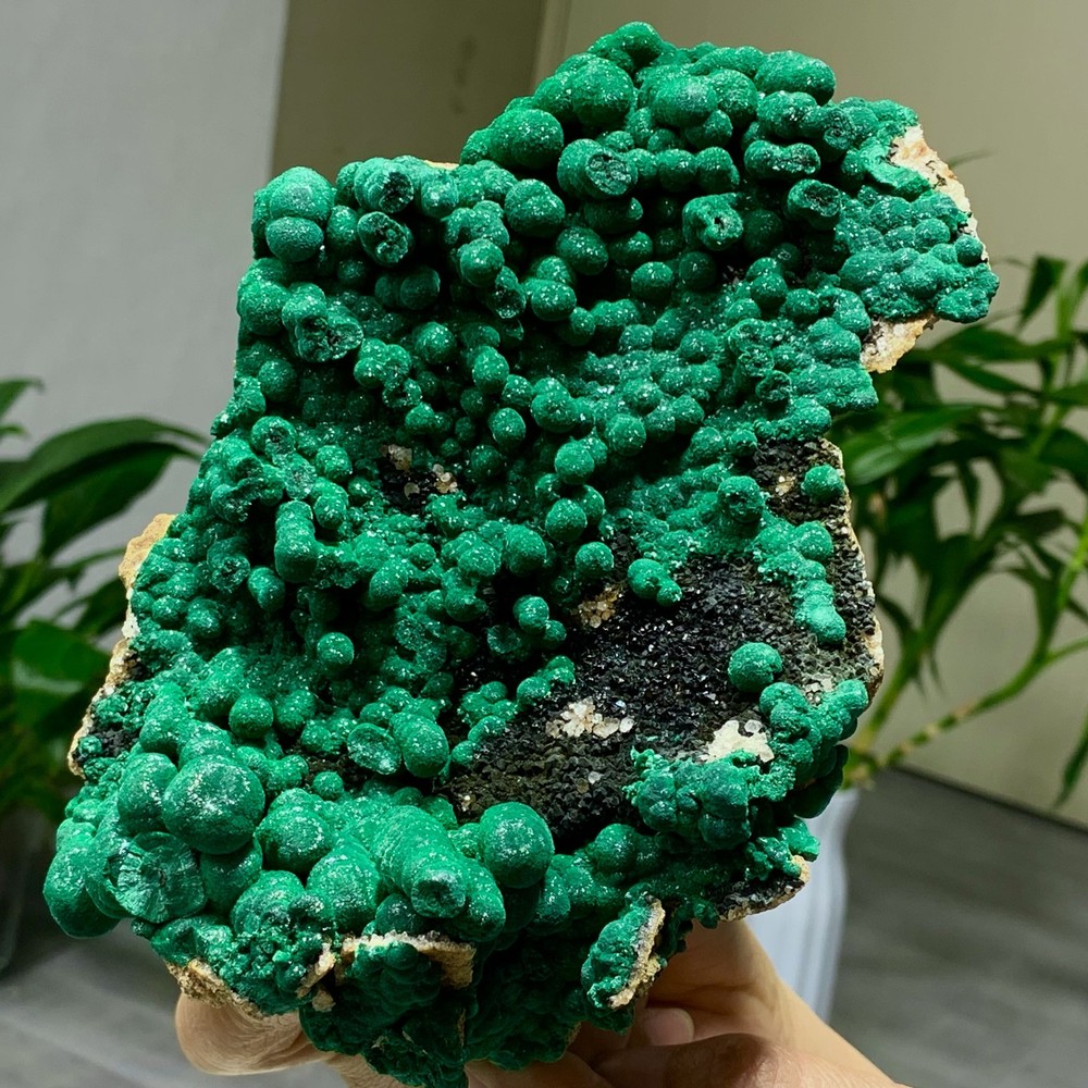 2.34LB Natural Malachite rysocolla transparent cluster rough mineral Sample