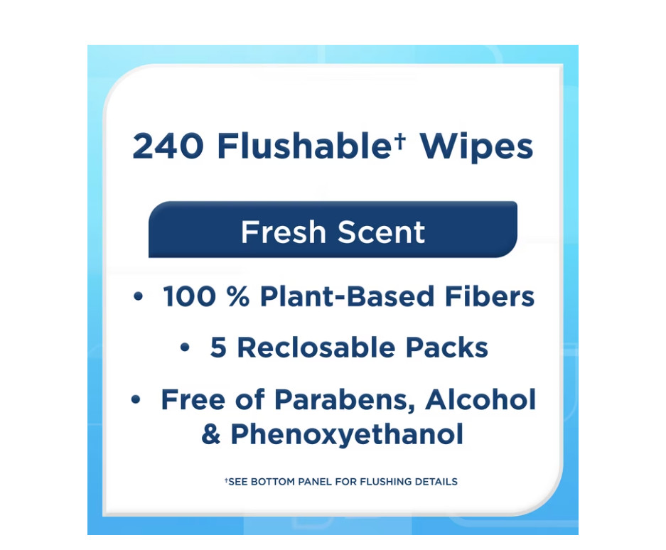 Equate Flushable Wet Wipes, Fresh Scent, 240 Wipes, 5 Pack