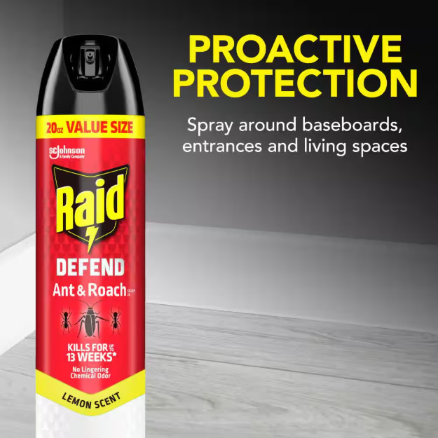 Raid Defend Ant and Roach Insect Killer, Indoor Insecticide, 20 oz. (2-Pack)
